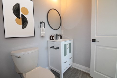 a bathroom with a toilet and a sink and a mirror