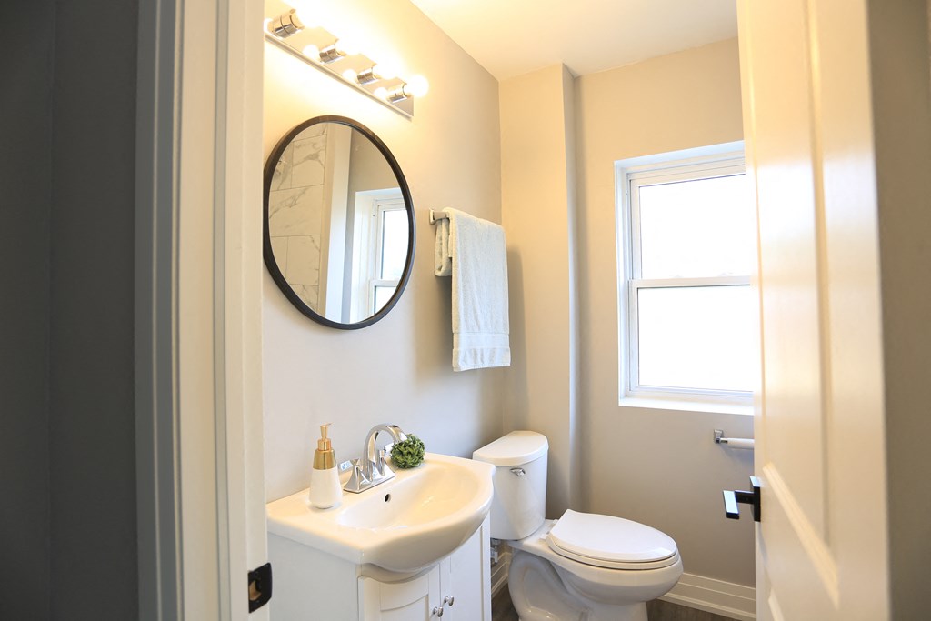 a bathroom with a sink and a toilet and a mirror