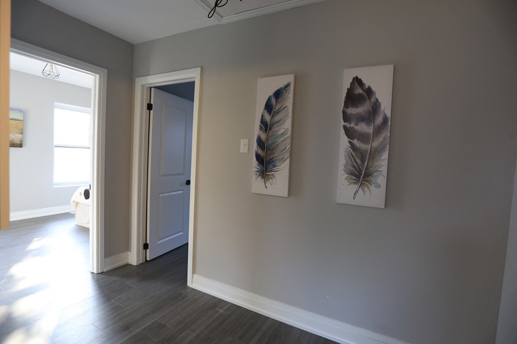 three feathers hanging on a wall in a living room