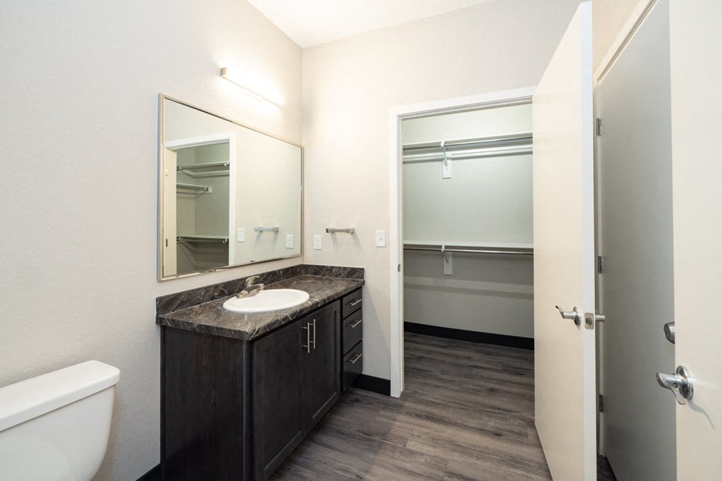 a bathroom with a sink and a mirror