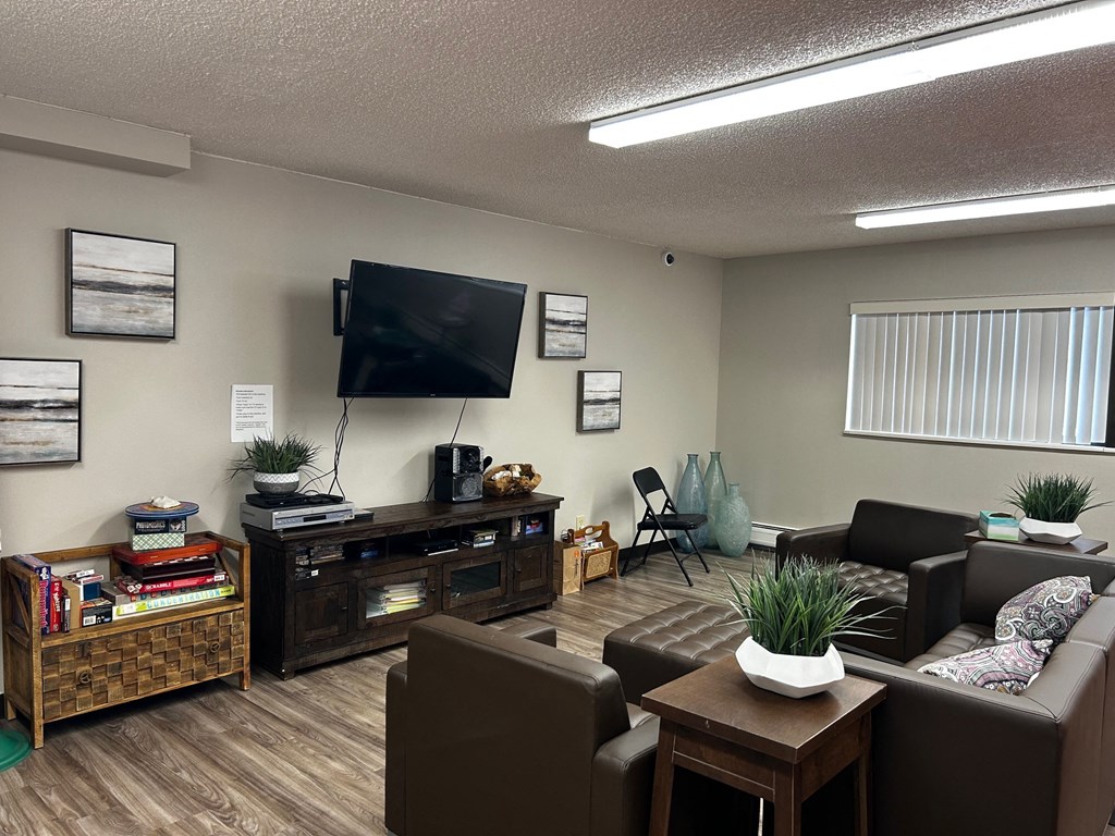a living room with couches and a tv