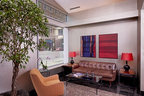 A living room with a brown couch, a tree, and two paintings on the wall.