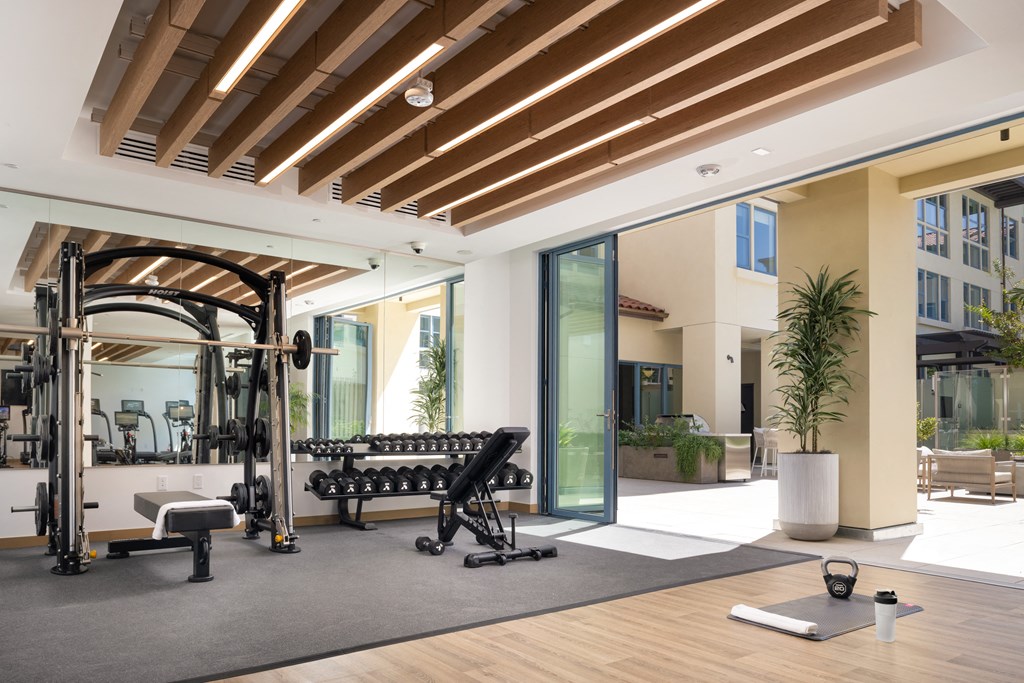 fitness center with free weights