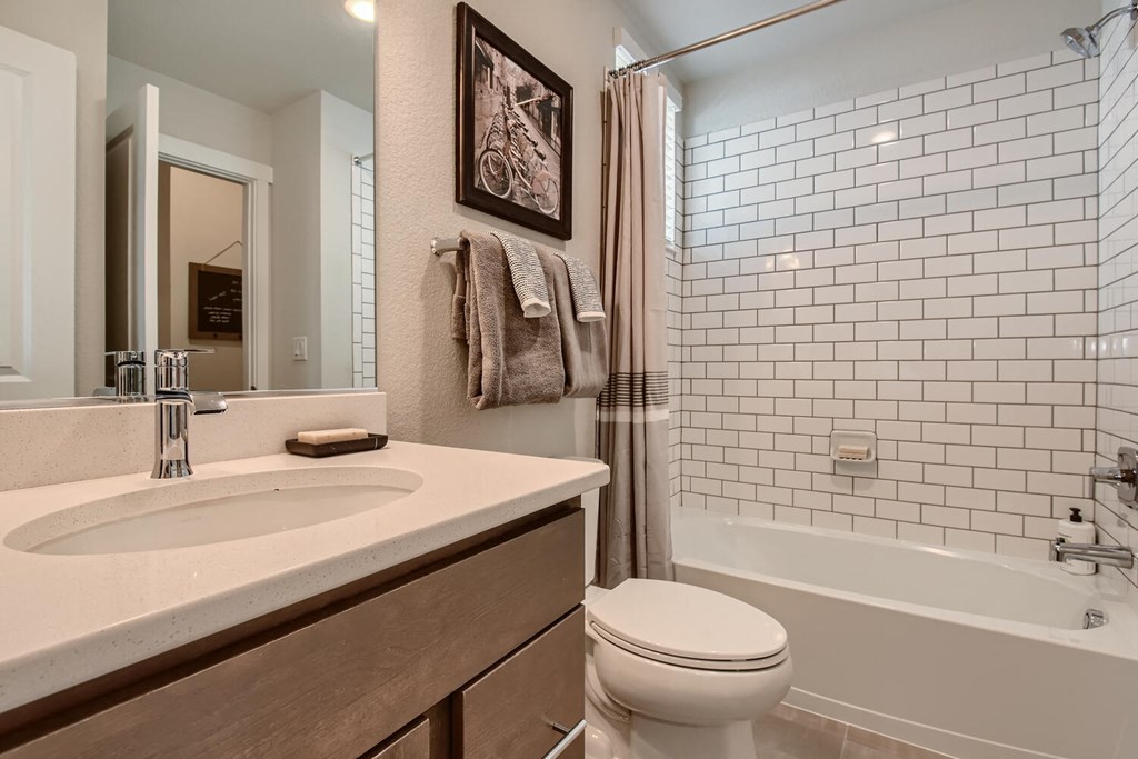 a bathroom with a sink and a toilet and a shower