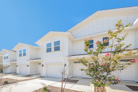 1656 Caleigh Ct 3 Beds Apartment for Rent