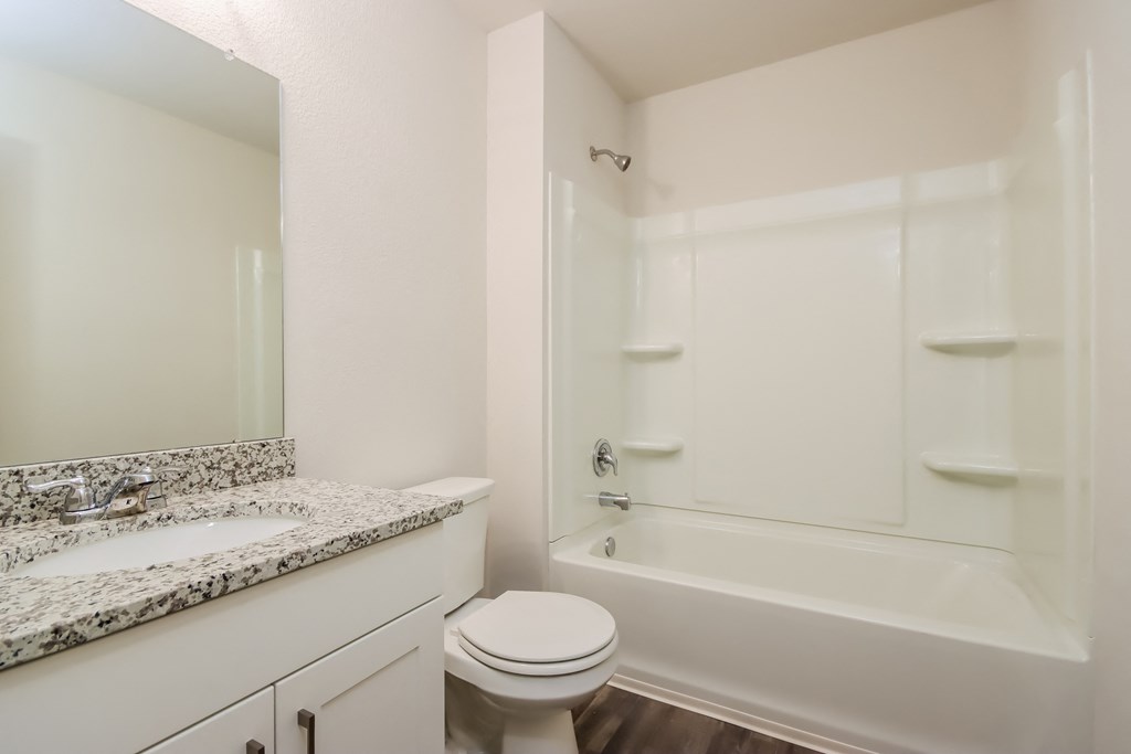 a bathroom with a shower toilet and sink and a mirror