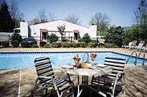 3350 Hickory Hill Road 1-3 Beds Apartment for Rent - Photo Gallery 2