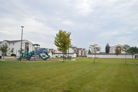 A playground with a green slide and a tree in the middle of a grassy field.