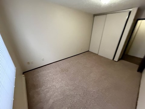 A room with a carpeted floor and a closet with white doors.