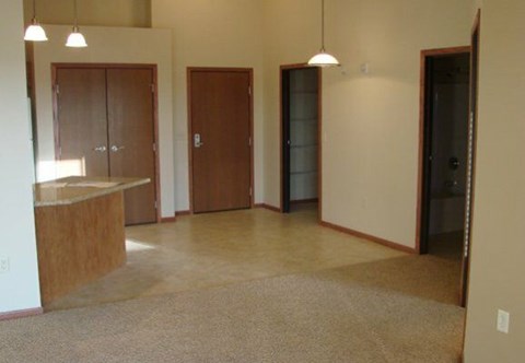 A room with a brown carpet and a brown door.