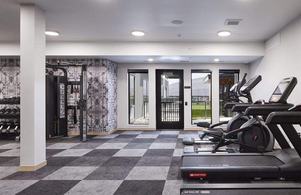 a gym with treadmills and weights on a checkered floor