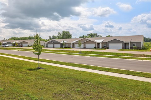 A tree stands alone in a grassy field in front of a row of houses.