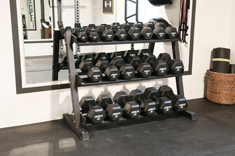 A rack of black dumbbells in a gym.