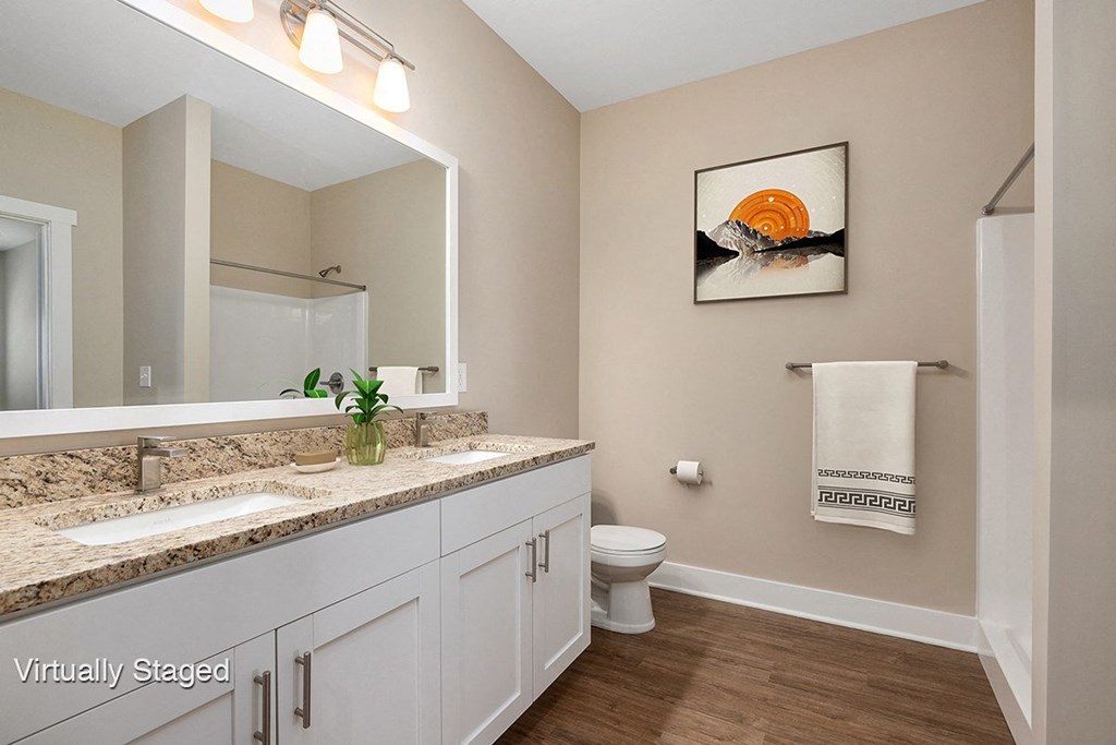 a bathroom with a sink and a toilet and a mirror