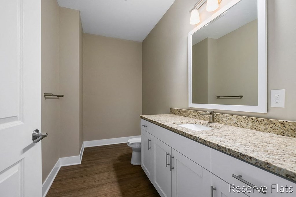 a bathroom with a sink and a toilet and a mirror