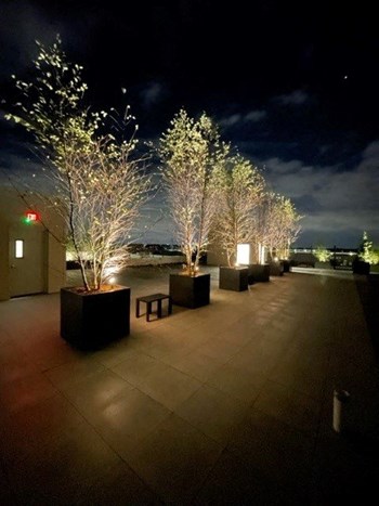Rooftop Amenity - Photo Gallery 11