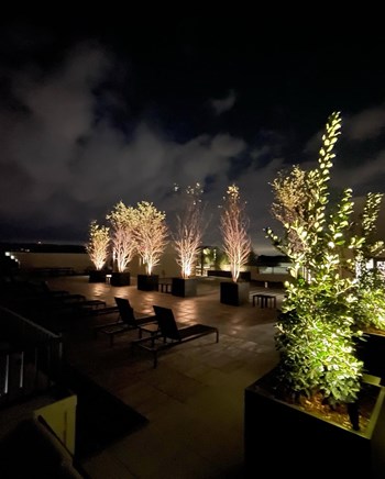 Rooftop Amenity - Photo Gallery 10