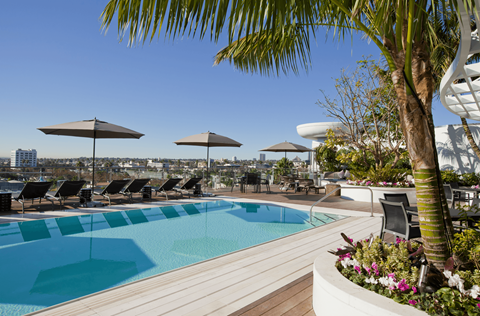 Rooftop Pool