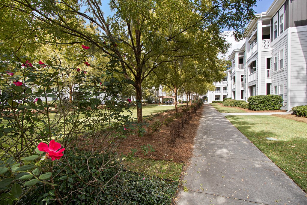 sidewalk in front of apartment buildings with trees and a red flower
