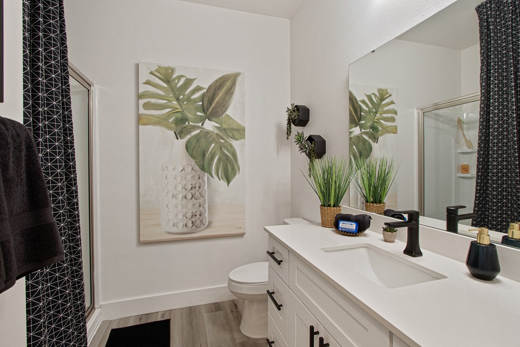 a bathroom with a sink and a mirror and a toilet