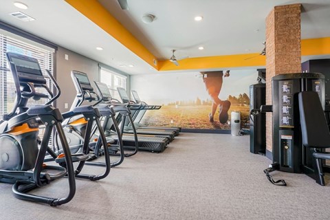 A gym with treadmills, elliptical machines, and a large mural on the wall.