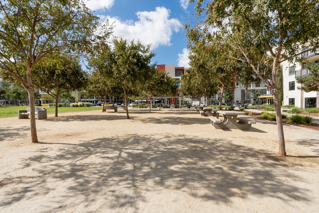 A park with a sandy area and trees.