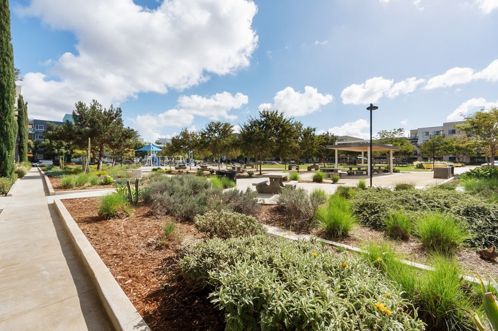 A garden with a variety of plants and a walking path.