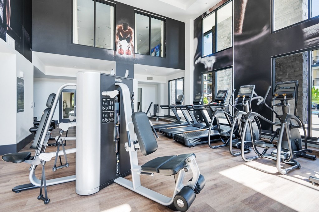 A gym with a variety of equipment including treadmills, stationary bikes, and weight machines.