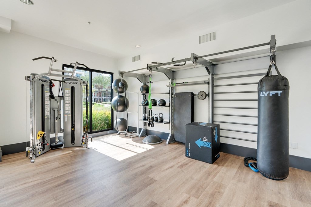 A gym with a punching bag and a variety of exercise equipment.