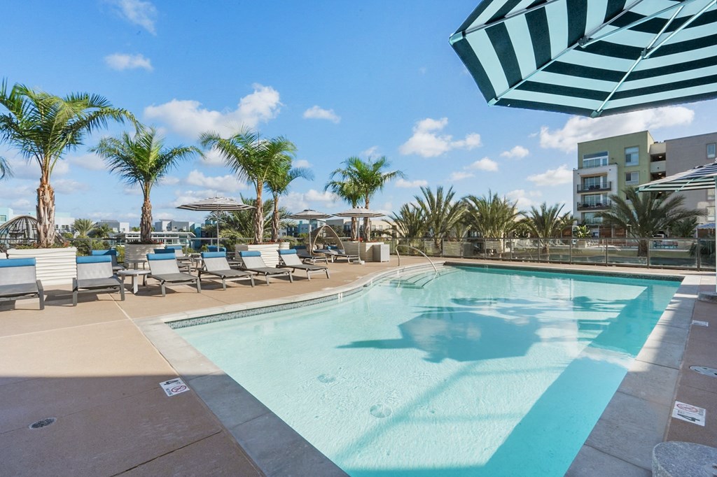 A large swimming pool surrounded by palm trees and lounge chairs.