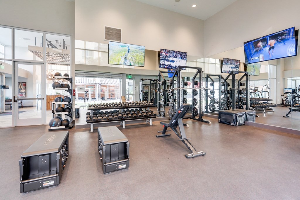 A gym with a variety of equipment including treadmills, weights, and exercise machines.