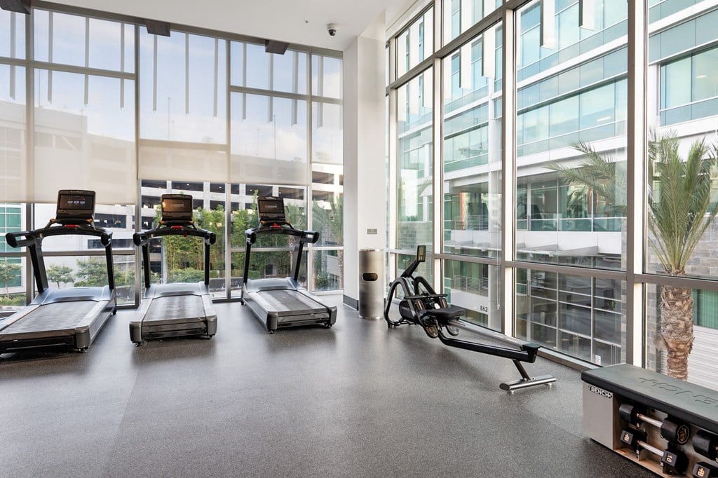 A gym with treadmills, exercise bikes and a rowing machine.