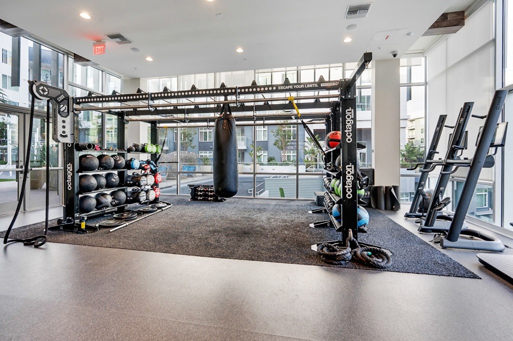 A gym with a punching bag, weights, and exercise equipment.