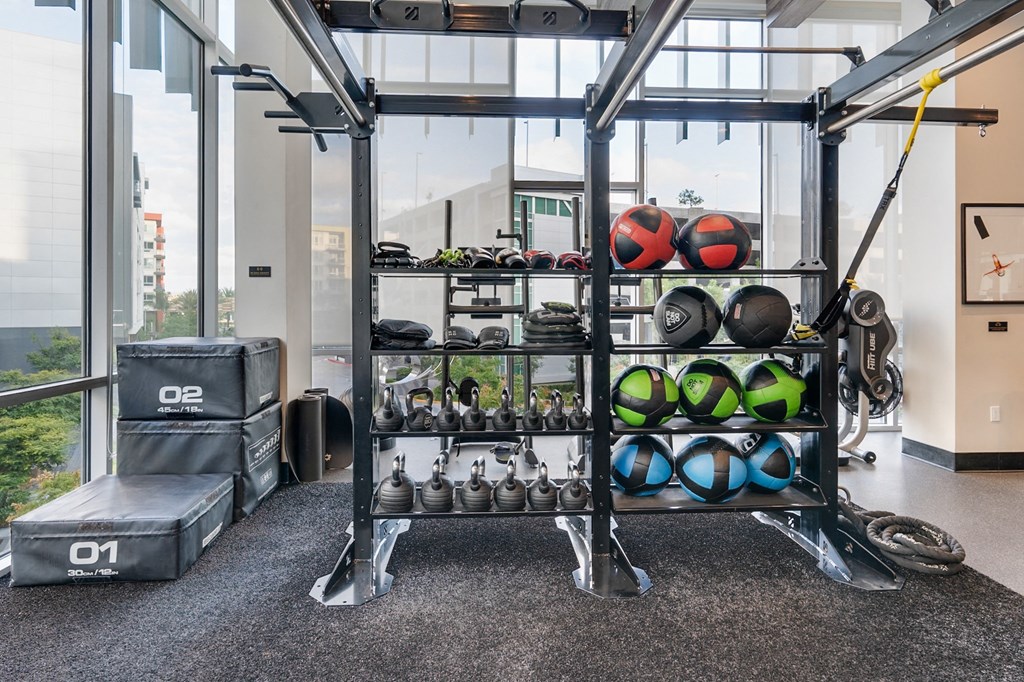 A gym with a weight rack and exercise balls.