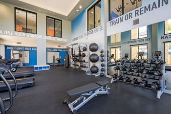a fully equipped gym with free weights and cardio equipment