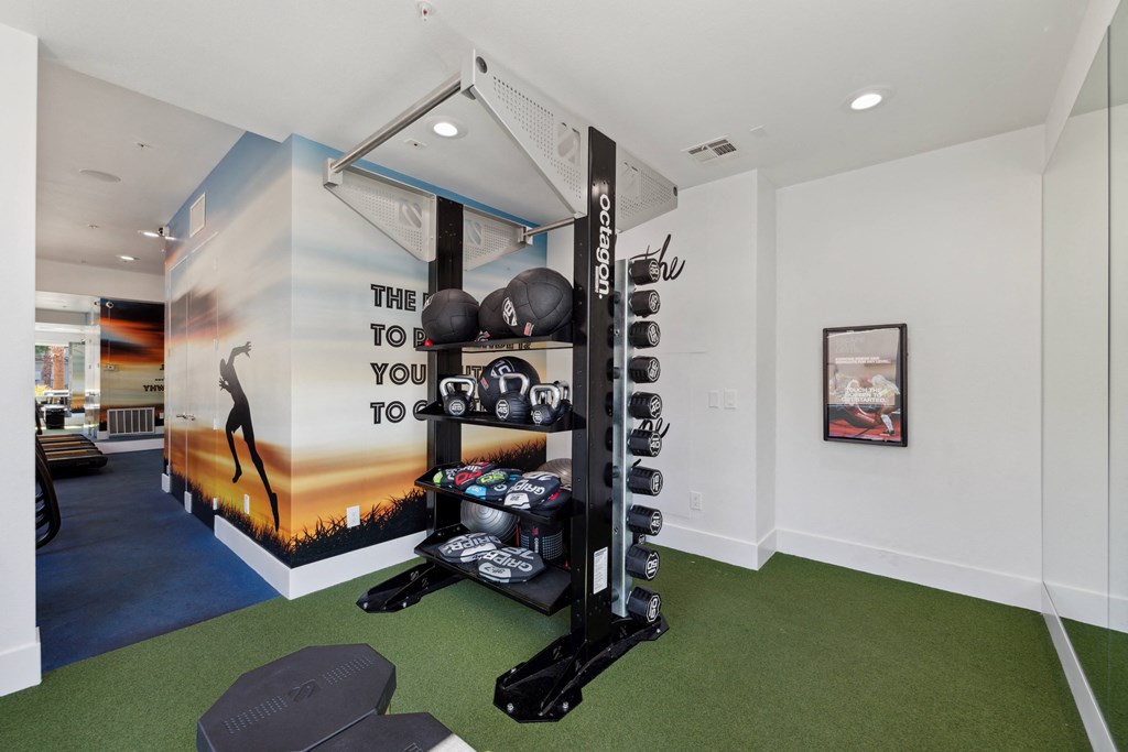 a workout room with weights and a wall mural
