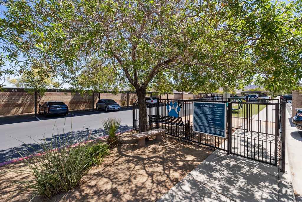 a park with a tree and a fence with cars on the street