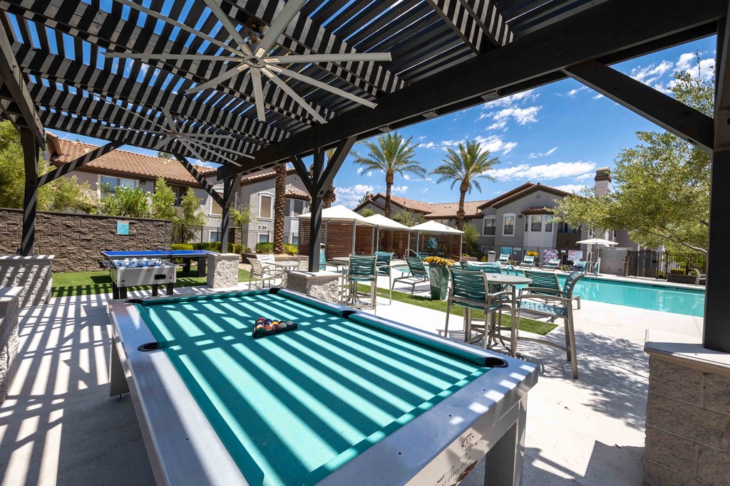 play a game of pool on our billiard table