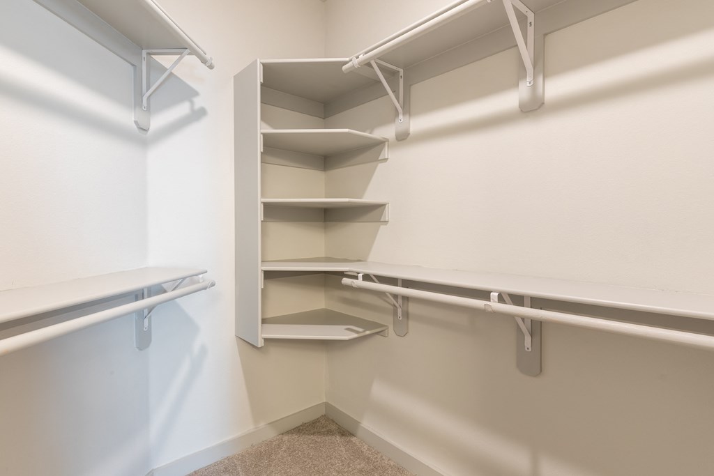 closet with shelves and racks