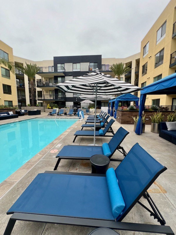 a row of blue lounge chairs next to a swimming pool