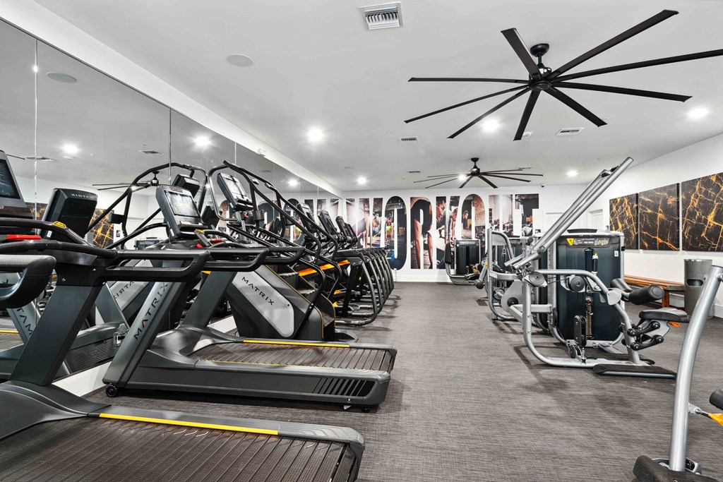 a row of treadmills and elliptical trainers in a gym
