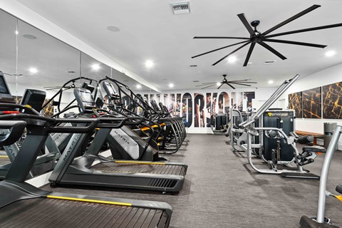 a row of treadmills and elliptical trainers in a gym