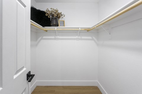 a room with white walls and a white closet with a plant on a shelf