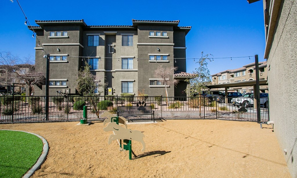 Presley at Whitney Ranch Dog Park