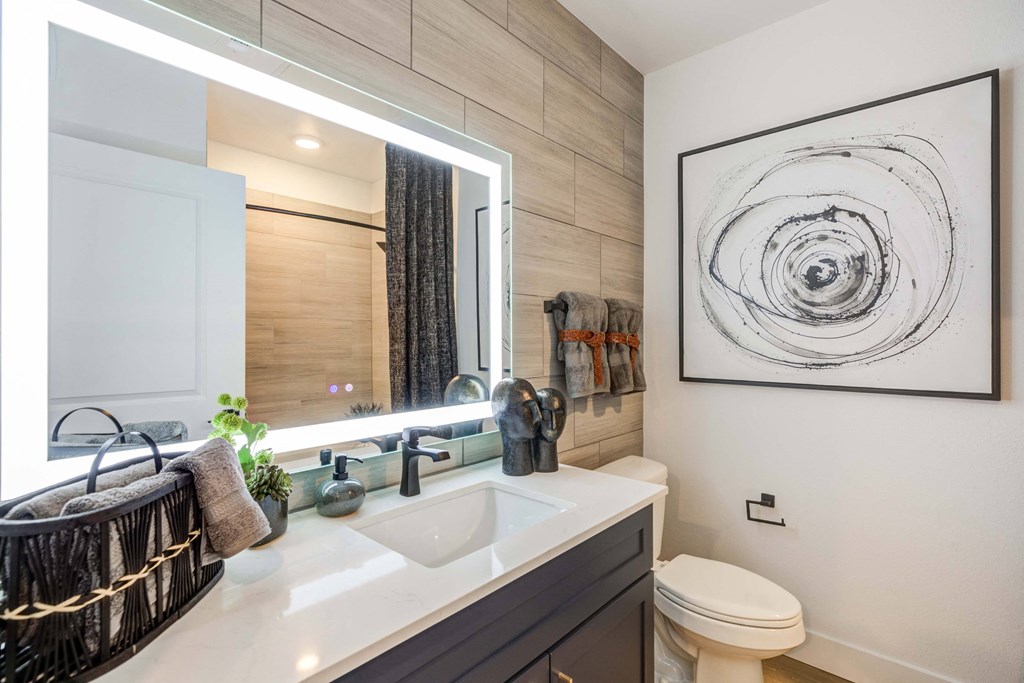 a bathroom with a sink and a toilet and a mirror