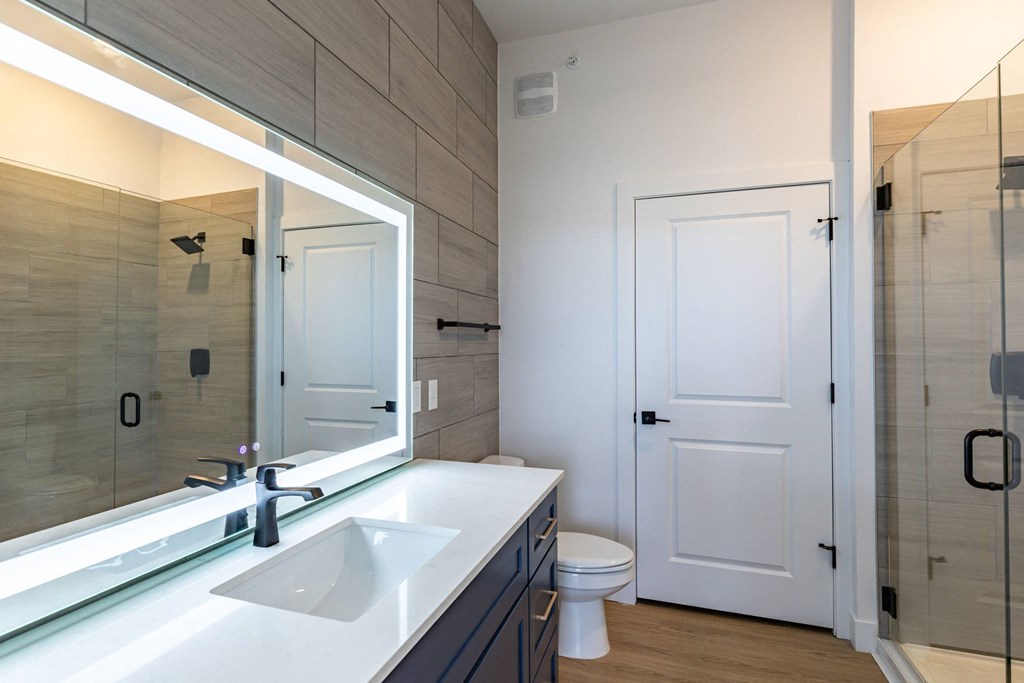 a bathroom with a sink and a mirror and a toilet