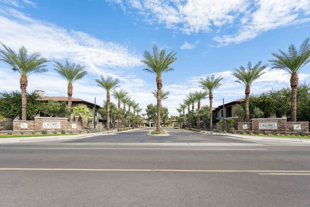 an empty street with palm trees in front of a building
