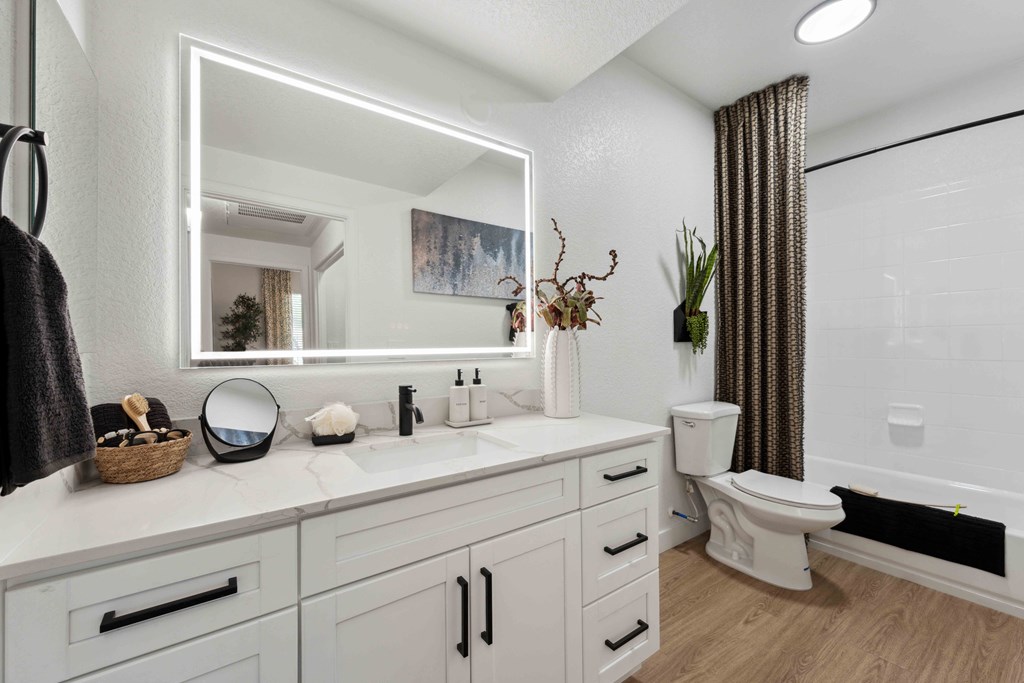 a bathroom with a sink and a mirror and a window