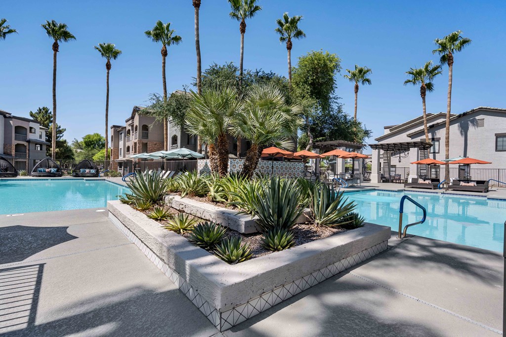 a swimming pool with palm trees in the background