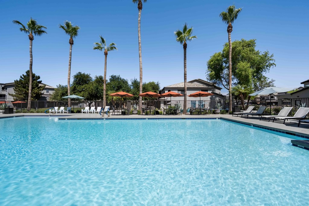 a large swimming pool with palm trees in the background
